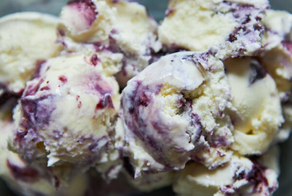 Custard & Blueberry - Pint